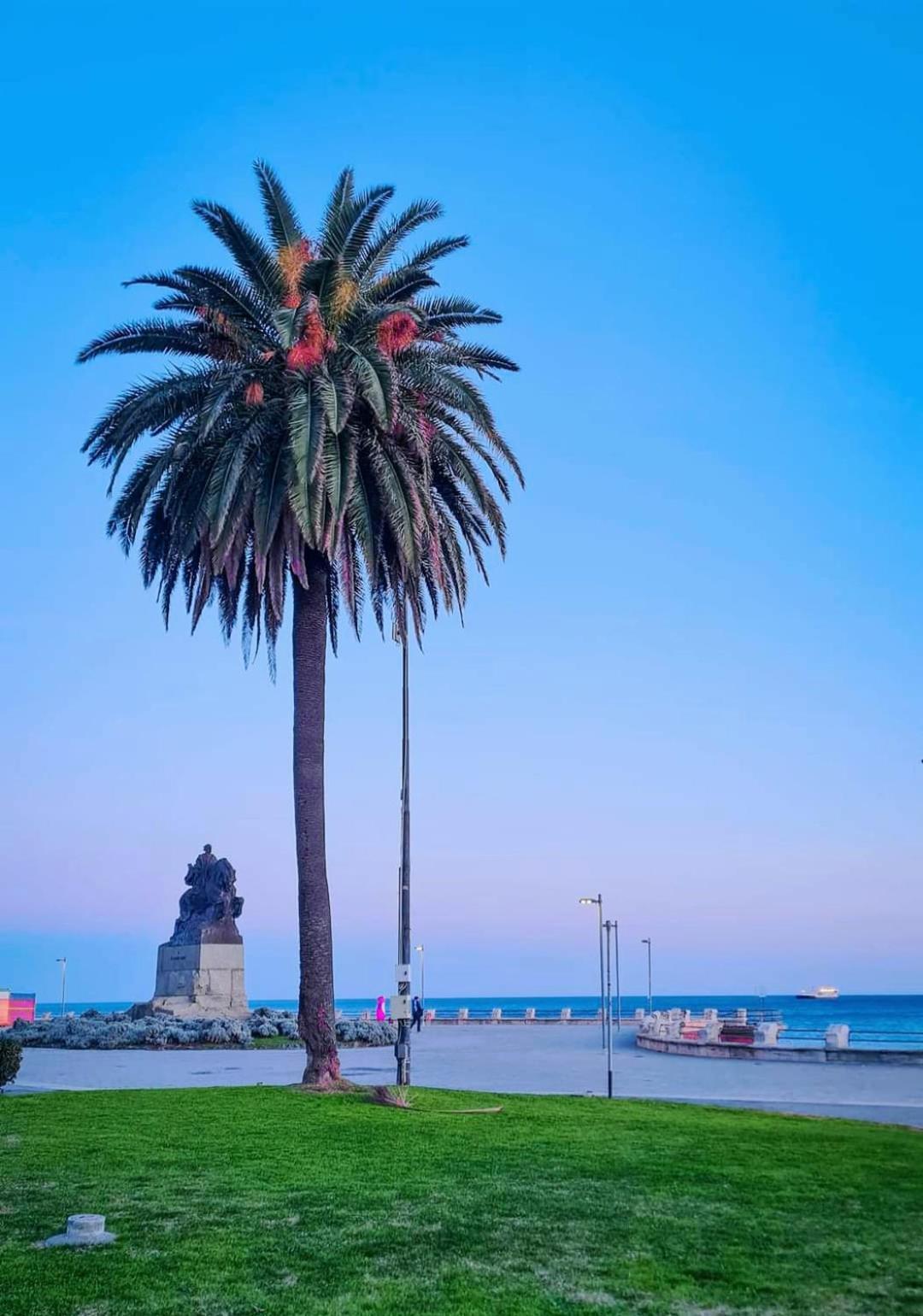 Tramonto Sul Mare - Sea Suite Savona Exteriér fotografie